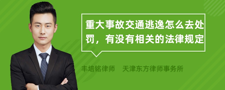 重大事故交通逃逸怎么去处罚，有没有相关的法律规定