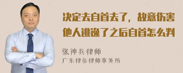 决定去自首去了，故意伤害他人逃逸了之后自首怎么判