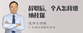 辞职后，个人怎样缴纳社保