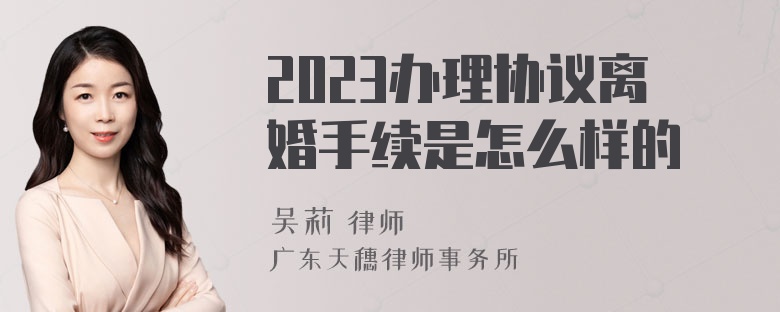 2023办理协议离婚手续是怎么样的