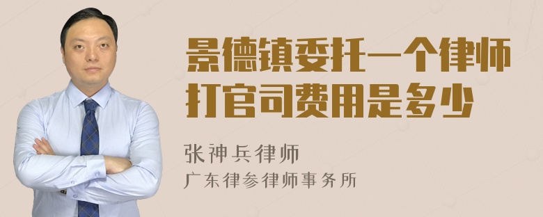 景德镇委托一个律师打官司费用是多少