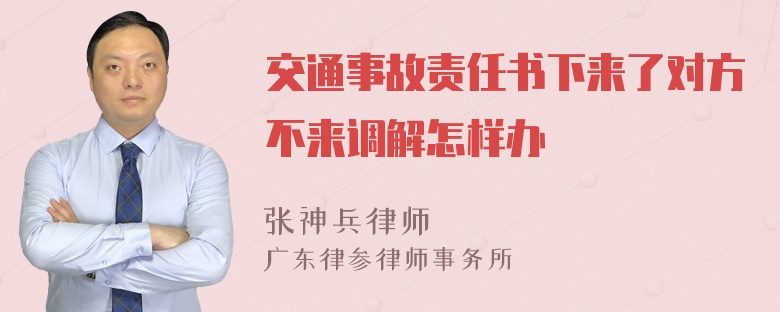 交通事故责任书下来了对方不来调解怎样办