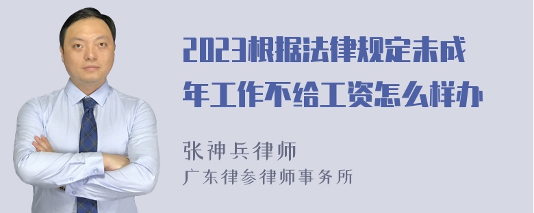 2023根据法律规定未成年工作不给工资怎么样办