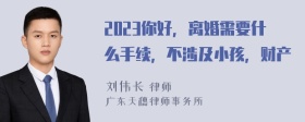 2023你好，离婚需要什么手续，不涉及小孩，财产