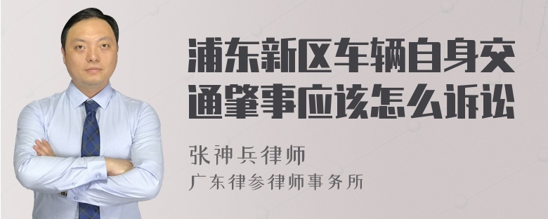 浦东新区车辆自身交通肇事应该怎么诉讼