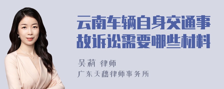 云南车辆自身交通事故诉讼需要哪些材料