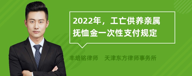 2022年，工亡供养亲属抚恤金一次性支付规定