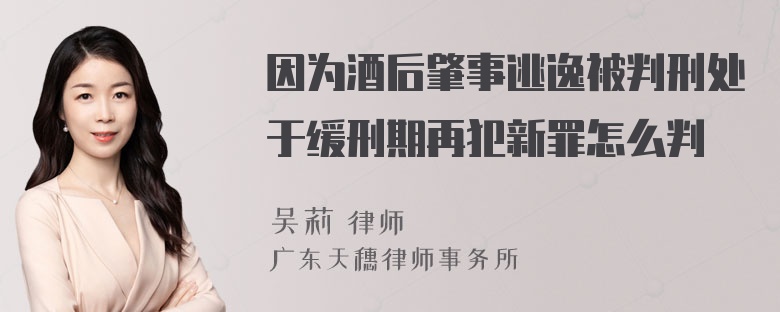 因为酒后肇事逃逸被判刑处于缓刑期再犯新罪怎么判