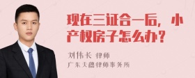 现在三证合一后，小产权房子怎么办？