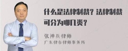 什么是法律制裁？法律制裁可分为哪几类？