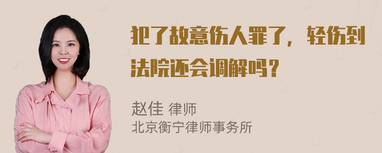 犯了故意伤人罪了，轻伤到法院还会调解吗？