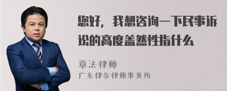 您好，我想咨询一下民事诉讼的高度盖然性指什么