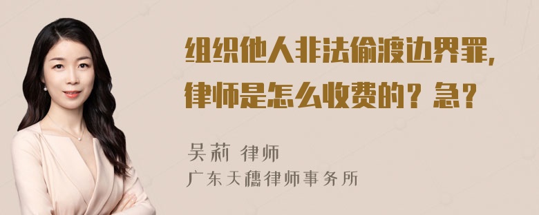 组织他人非法偷渡边界罪，律师是怎么收费的？急？