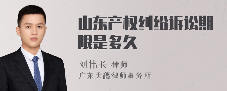 山东产权纠纷诉讼期限是多久