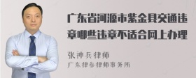 广东省河源市紫金县交通违章哪些违章不适合网上办理