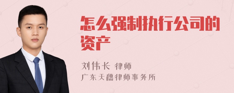 怎么强制执行公司的资产