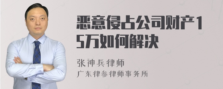 恶意侵占公司财产15万如何解决