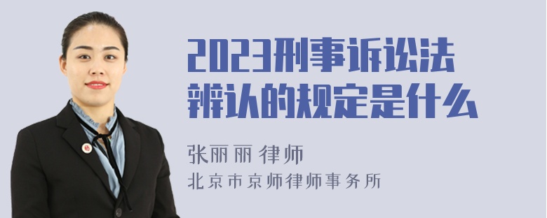 2023刑事诉讼法辨认的规定是什么