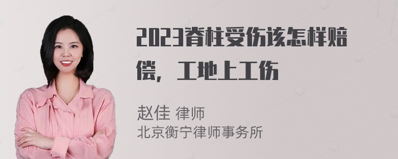 2023脊柱受伤该怎样赔偿，工地上工伤