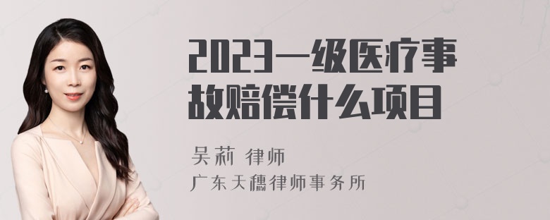 2023一级医疗事故赔偿什么项目