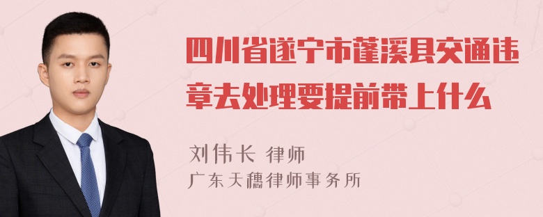 四川省遂宁市蓬溪县交通违章去处理要提前带上什么