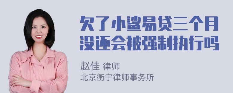 欠了小鲨易贷三个月没还会被强制执行吗