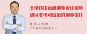 土地违法面积刑事责任用地超过多少可以追究刑事责任