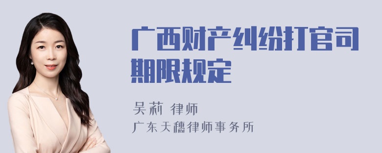 广西财产纠纷打官司期限规定