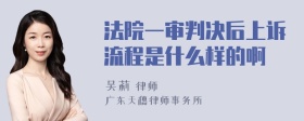 法院一审判决后上诉流程是什么样的啊