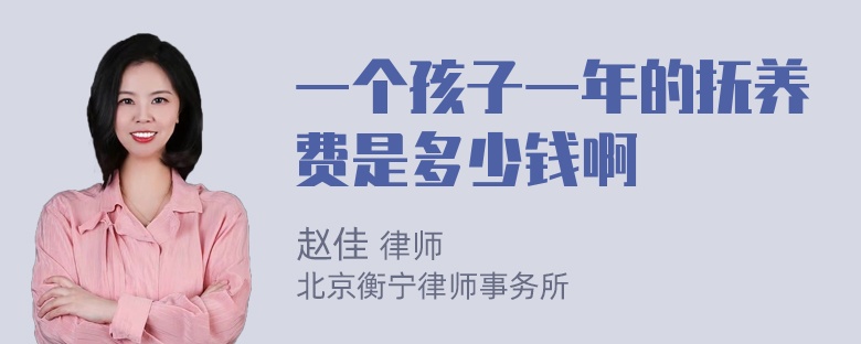 一个孩子一年的抚养费是多少钱啊