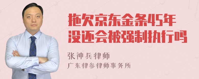 拖欠京东金条45年没还会被强制执行吗