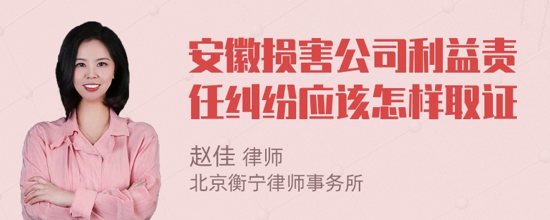 安徽损害公司利益责任纠纷应该怎样取证