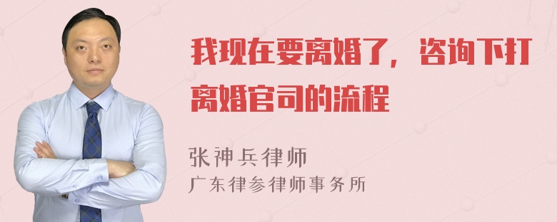 我现在要离婚了，咨询下打离婚官司的流程