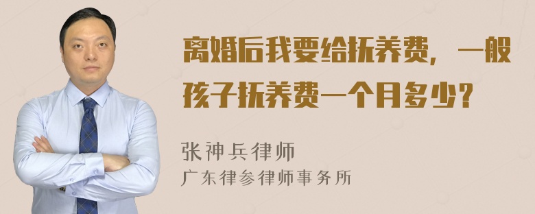 离婚后我要给抚养费，一般孩子抚养费一个月多少？