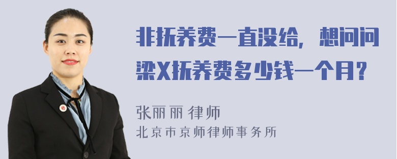 非抚养费一直没给，想问问梁X抚养费多少钱一个月？