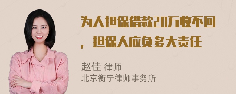 为人担保借款20万收不回，担保人应负多大责任