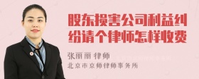 股东损害公司利益纠纷请个律师怎样收费