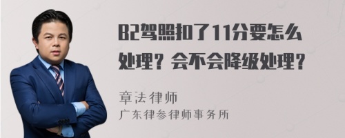 B2驾照扣了11分要怎么处理？会不会降级处理？