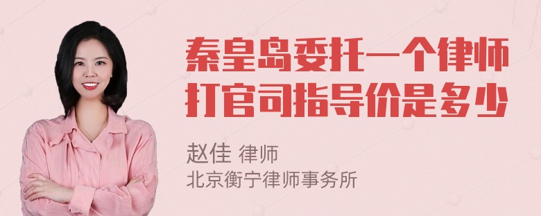 秦皇岛委托一个律师打官司指导价是多少