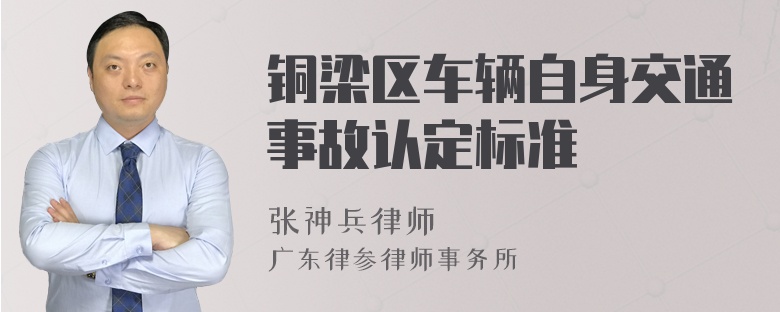 铜梁区车辆自身交通事故认定标准