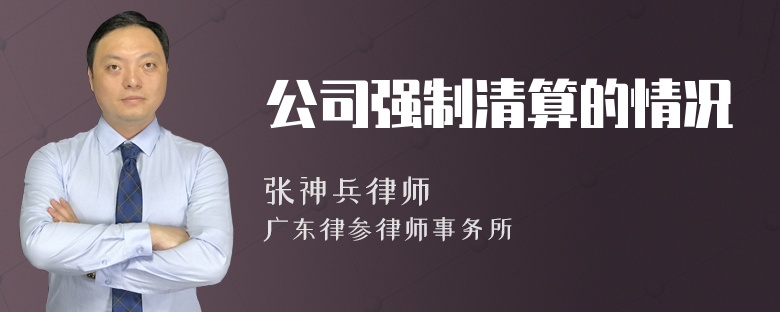 公司强制清算的情况