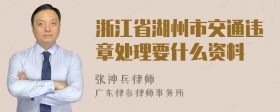 浙江省湖州市交通违章处理要什么资料