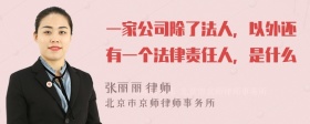 一家公司除了法人，以外还有一个法律责任人，是什么