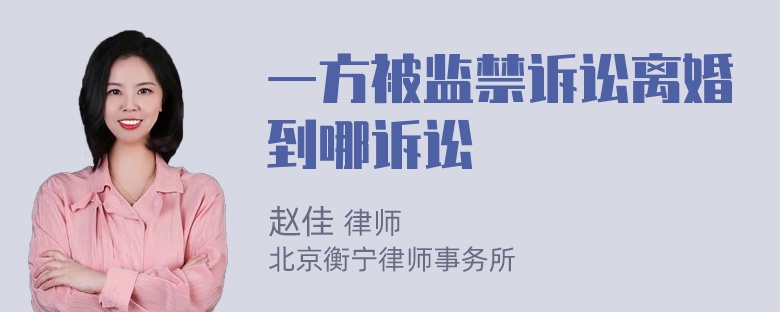 一方被监禁诉讼离婚到哪诉讼