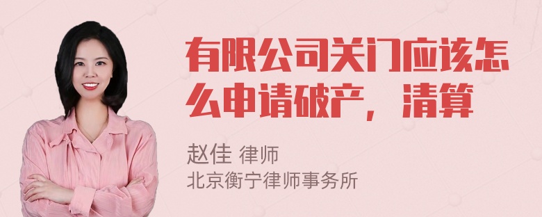 有限公司关门应该怎么申请破产，清算