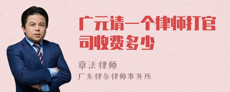 广元请一个律师打官司收费多少