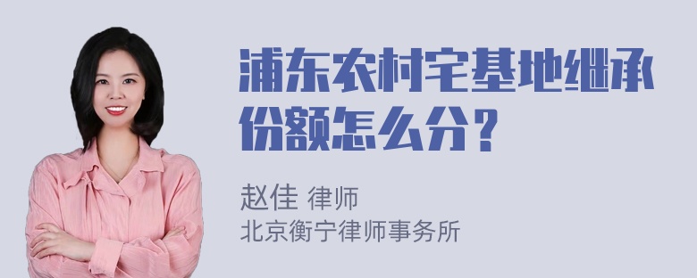 浦东农村宅基地继承份额怎么分？