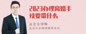 2023办理离婚手续要带什么