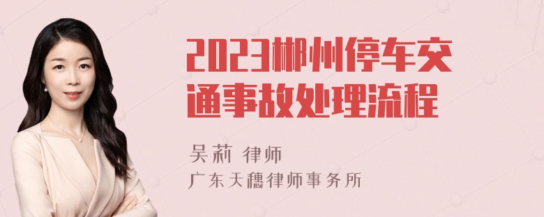 2023郴州停车交通事故处理流程