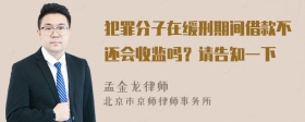 犯罪分子在缓刑期间借款不还会收监吗？请告知一下